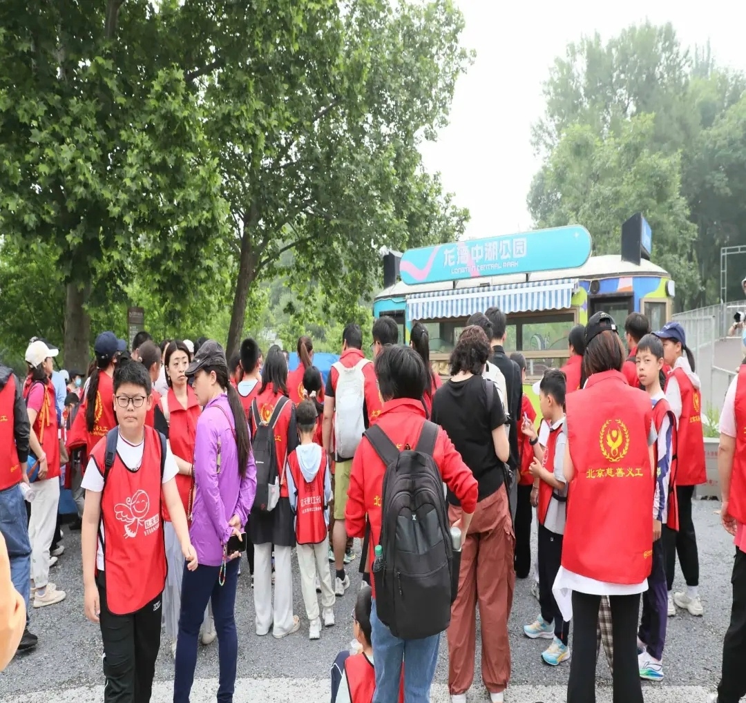 Large volunteer crowd moving through the street